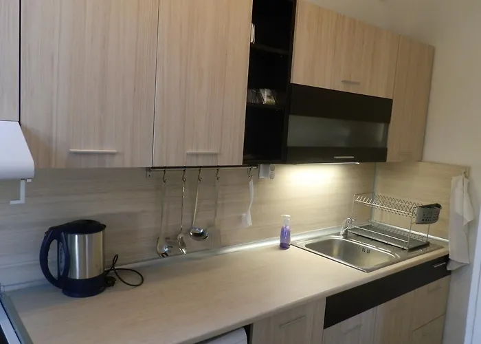 Silver House Daire Varna