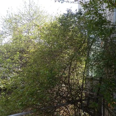 Silver House * 瓦爾納