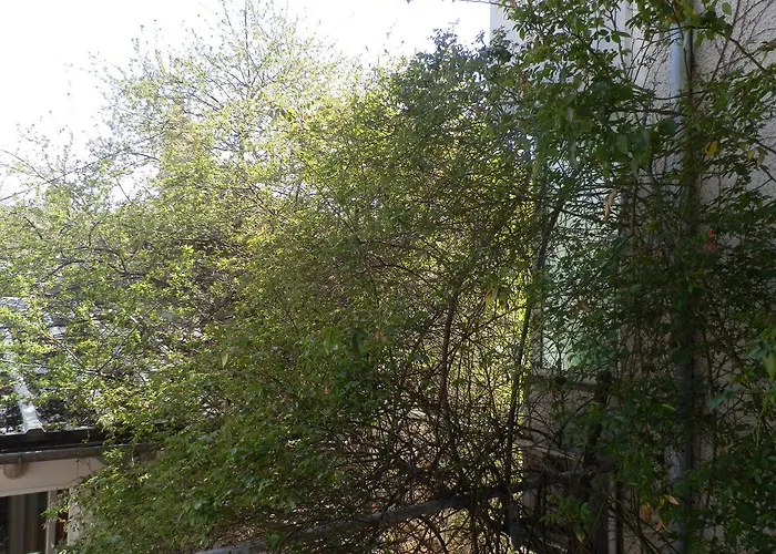 Silver House * Warna